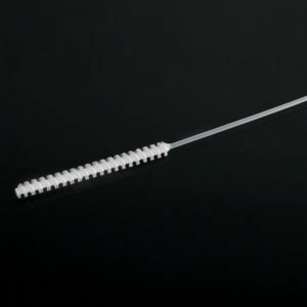 Gordon Brush 1/2" Brush Diameter Metal Free Tube Brush - Polypropylene 710512